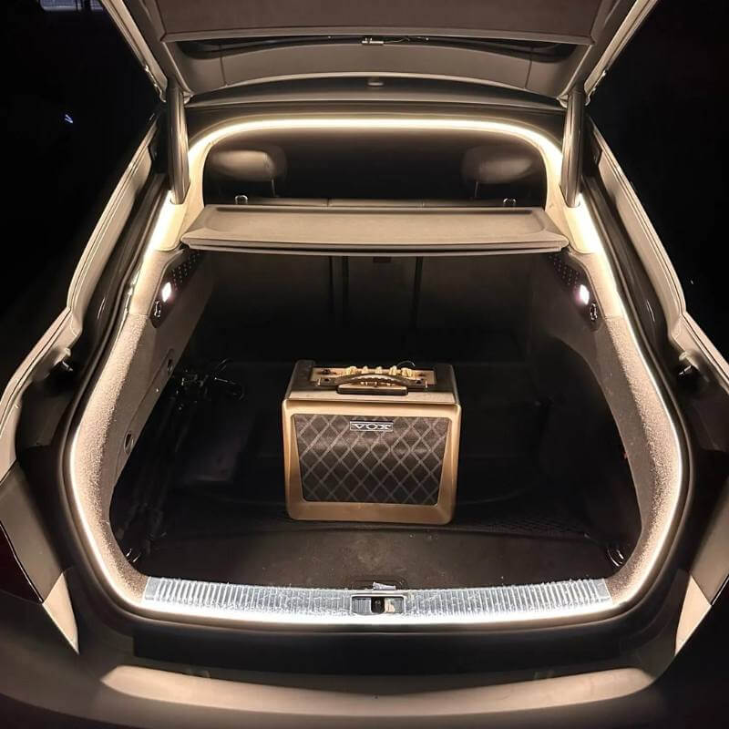 Throttle Tiger Trunk LED Kit - Image 4